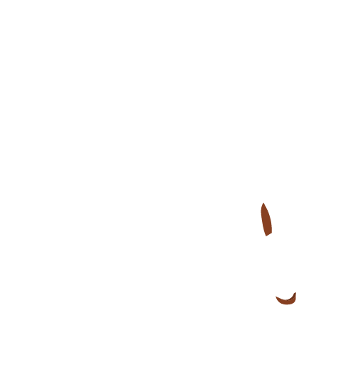 online event platform